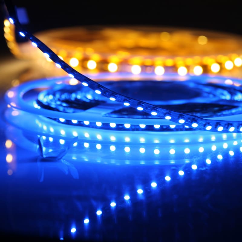 Led Lights For Poultry Houses Shelly Lighting